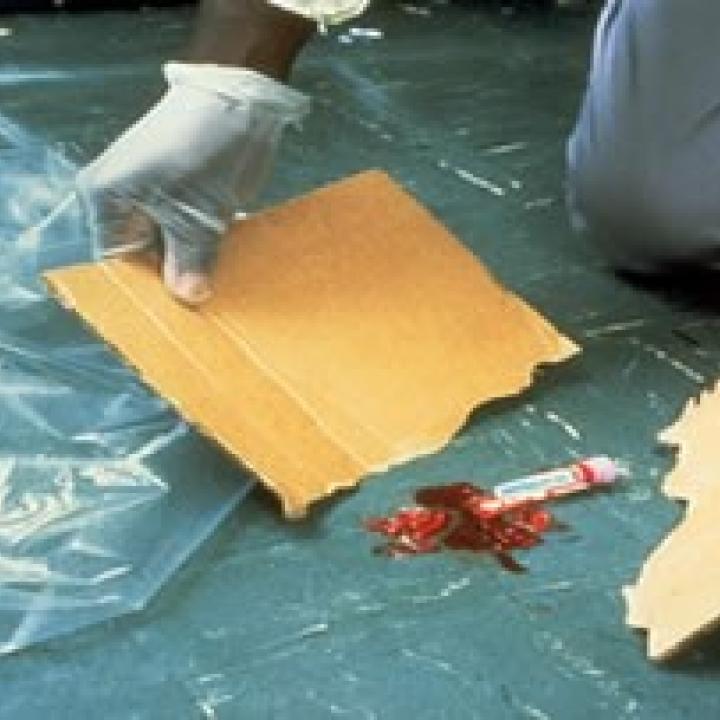 Clean up sharps with cardboard