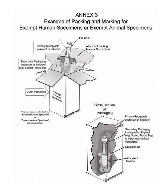 Example of packing and marking for exempt human or animal specimens