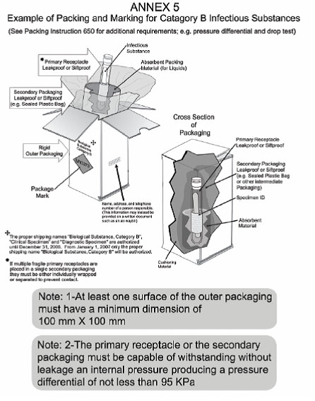 Example of packing and marking for Catagory B Infectious Substances