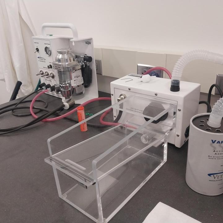 Waste Anesthetic Gases (WAG)